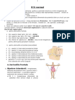 Lp 01 - ECG normal 1.docx