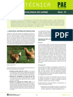 fitxapae15cast.pdf