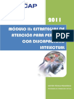 discapacidad-mental-estrategias-de-atencion.pdf