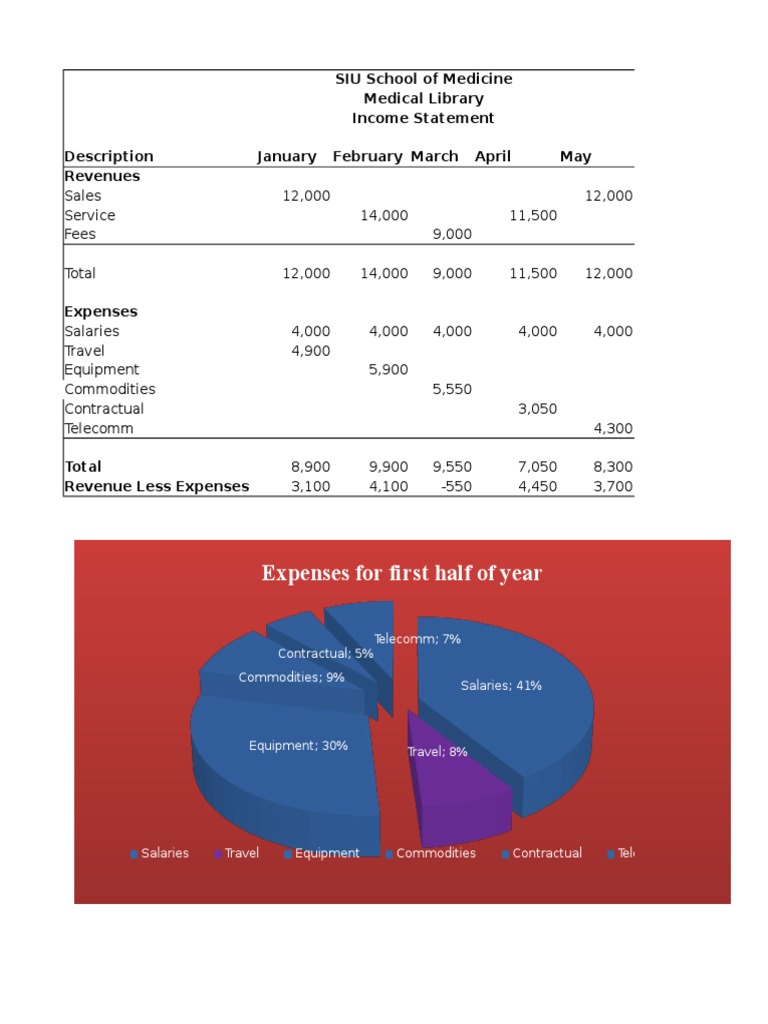 Medical Library Income Statement FY13 | PDF | Revenue | Financial ...