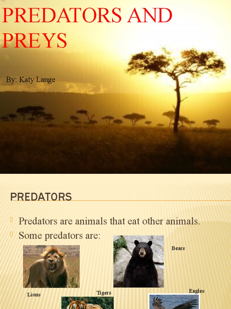 Predators and Preys PDF