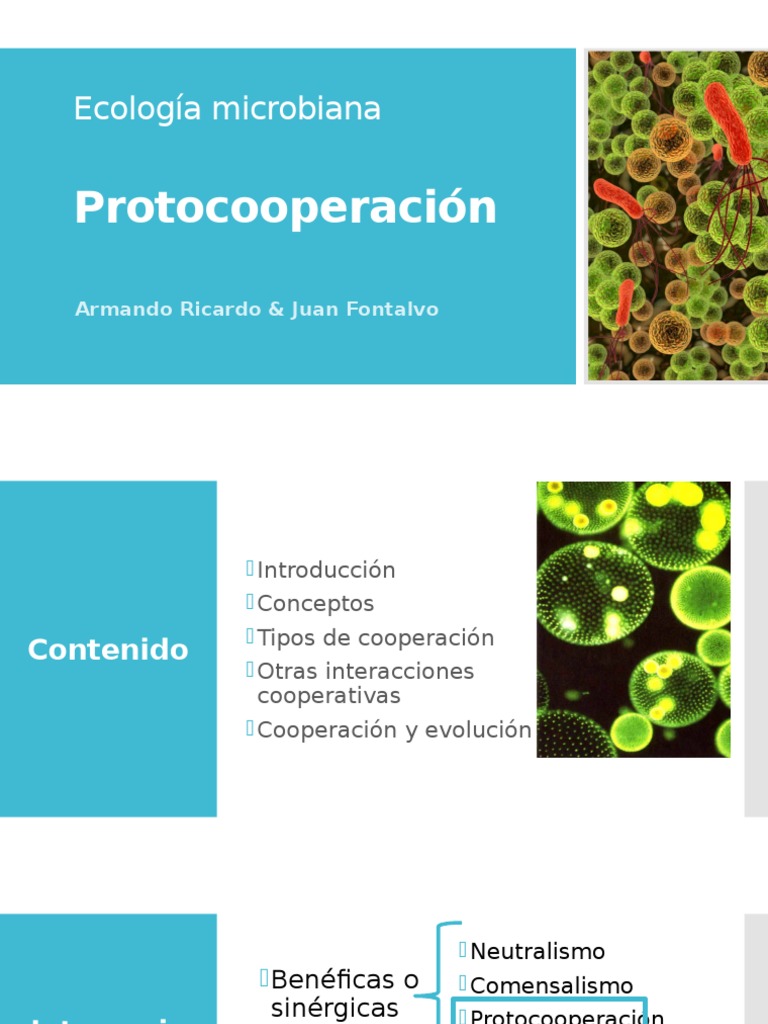 Definición y ejemplos de protocooperación | PDF | Evolución | Ciencias ...