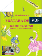 BrataraDeAur_OSutaDeProfesiiExplicatePtCopii.pdf