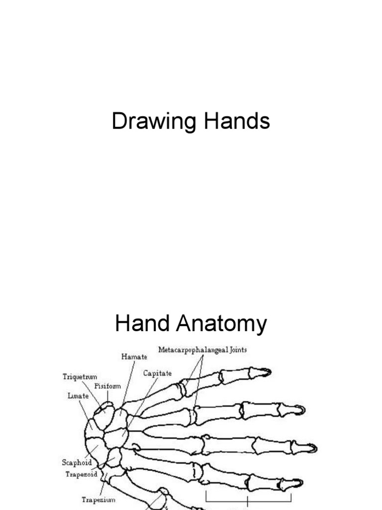 Drawing Hands | PDF | Art