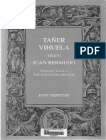 Tañer Vihuela