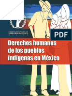 Derechos humanos de los pueblos indígenas en Méxco.pdf