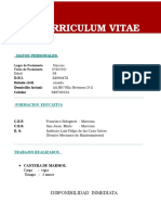 Curriculum Vitae Dayanna Zevallos