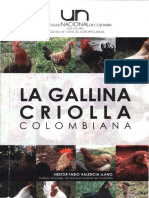 Néstor Valencia - La Gallina Criolla Colombiana