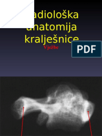 Radiološka Anatomija Kralješnice-Vježbe