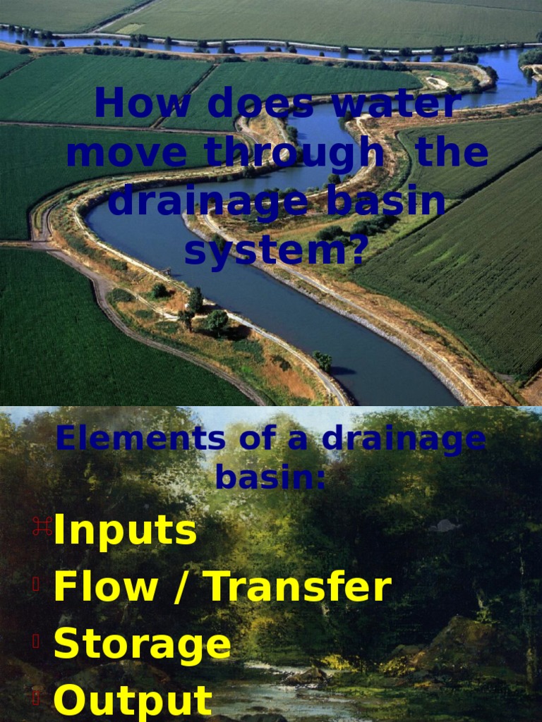 Water Movement in Drainage Basins | PDF | Groundwater | Surface Runoff