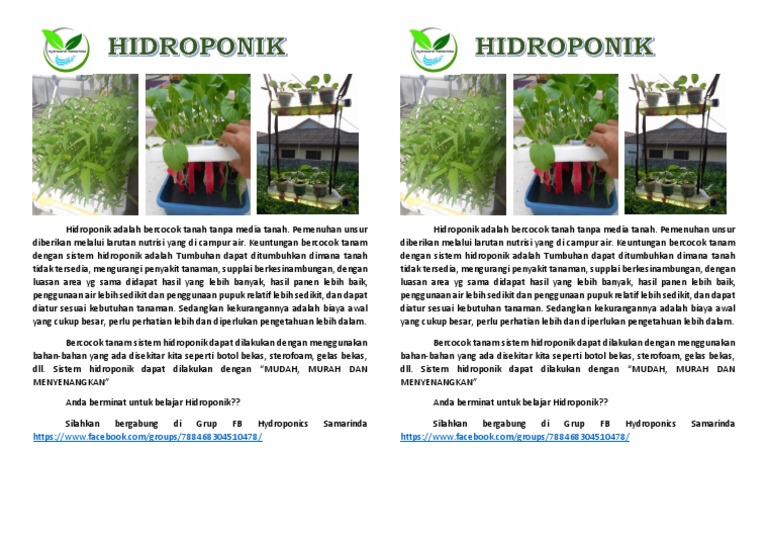 Hidroponik Hidroponik