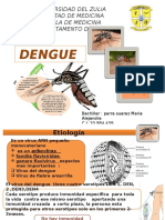 Presentación Denge