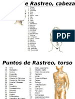 PUNTOS DE RASTREO DEL PAR BIOMAGNETICO Carlos Goya EMAGISTER 3.ppsx