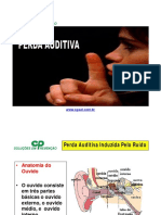 CP PERDA AUDITIVA.pdf