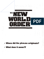 New World Order-28