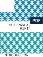 Epidemio Influenza (1)