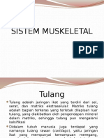 Sistem Muskeletal Baru