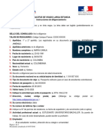 Instrucciones para completar el formulario de solicitud de visa.pdf