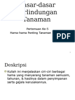 Pertemuan Ke 4