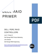 Raid Primer WP