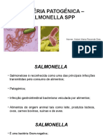 Bactéria Patogénica - Salmonella SPP PDF