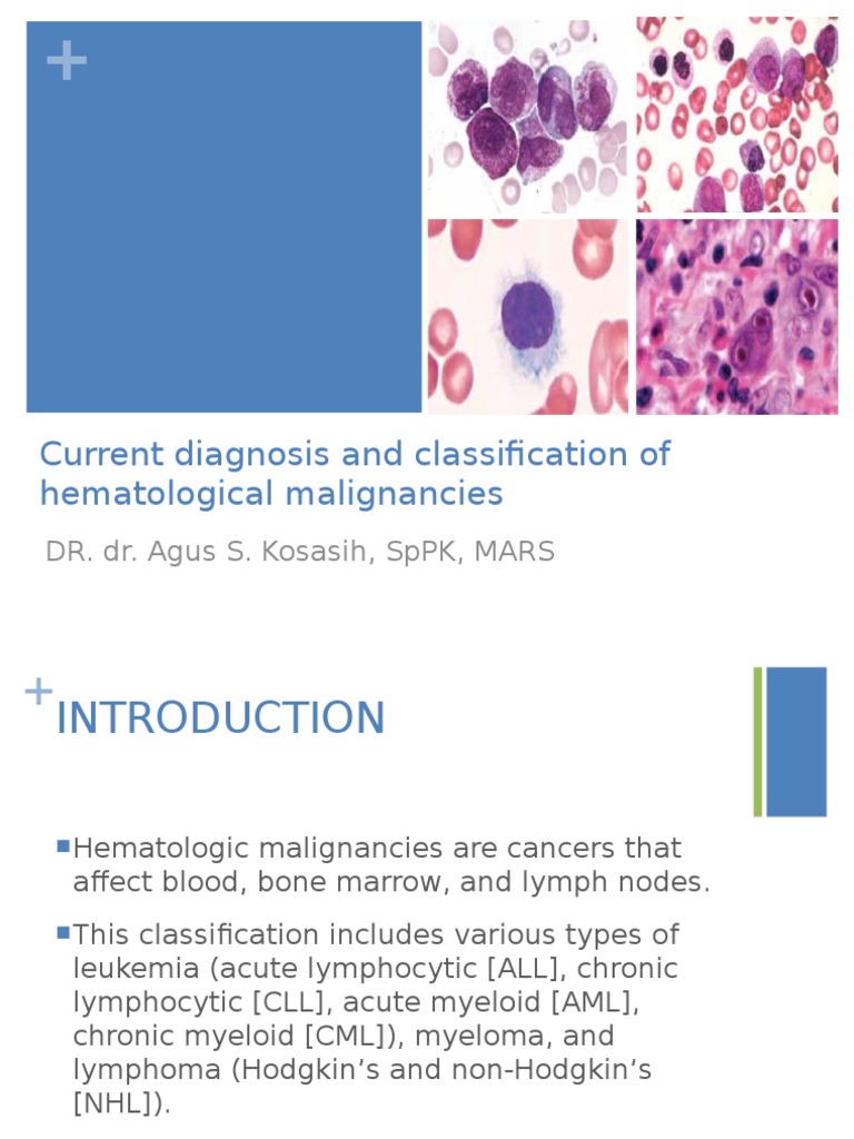 Current Diagnosis and Classification of Hematological Malignancies