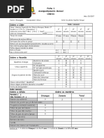 Ficha n.1 - LIDERES Acompanhamento Mensal1