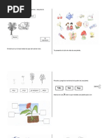 Material de Plantas y Animales