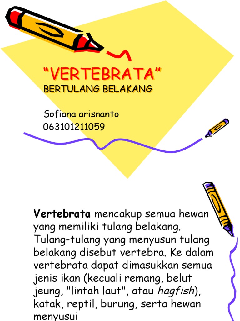 Hewan Yang Memiliki Tulang Belakang Disebut Coba Sebutkan Hewan Yang Memiliki Tulang Belakang Disebut Coba Sebutkan