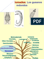 NEMATODOS