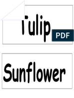 Function of Flower