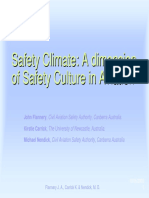 Safety Climate Flannery Carrick Nendick