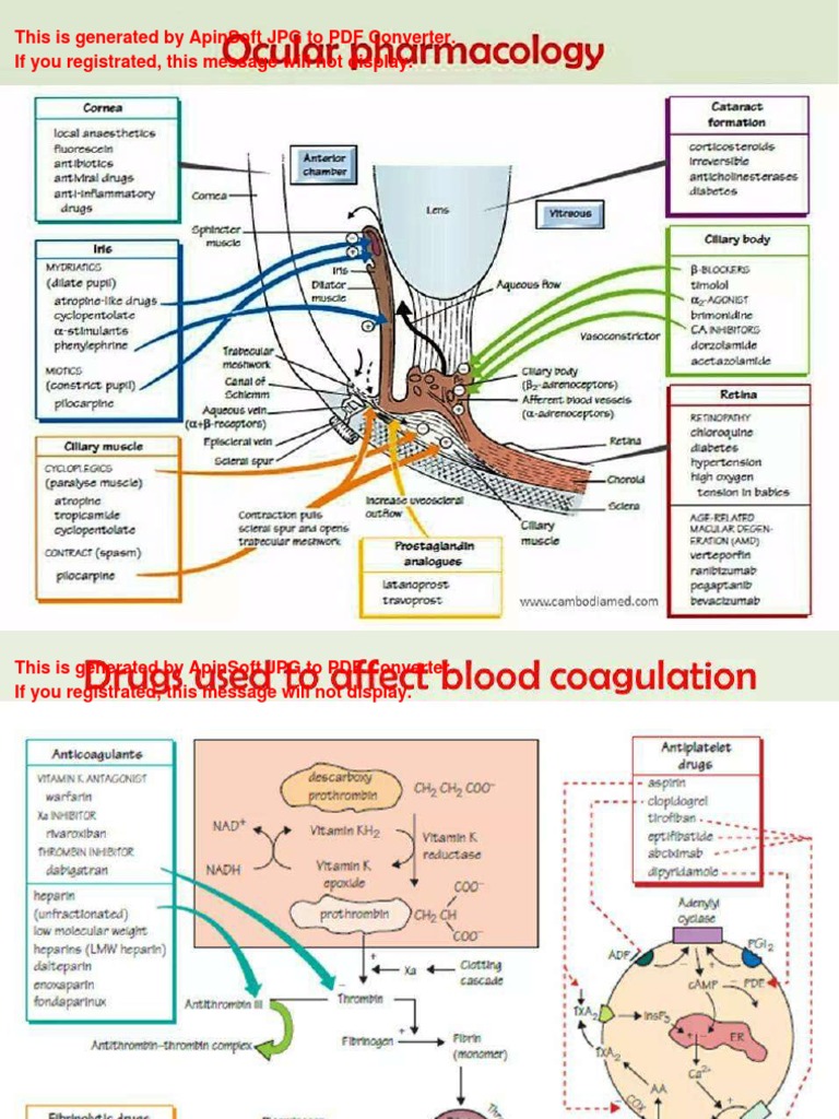 Pharmacology Mind Maps PDF Computer File Formats Computer File