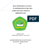 Laporan Pendahuluan Dan Asuhan Keperawatan Secara Teori Tentang Thypus Abdominalis