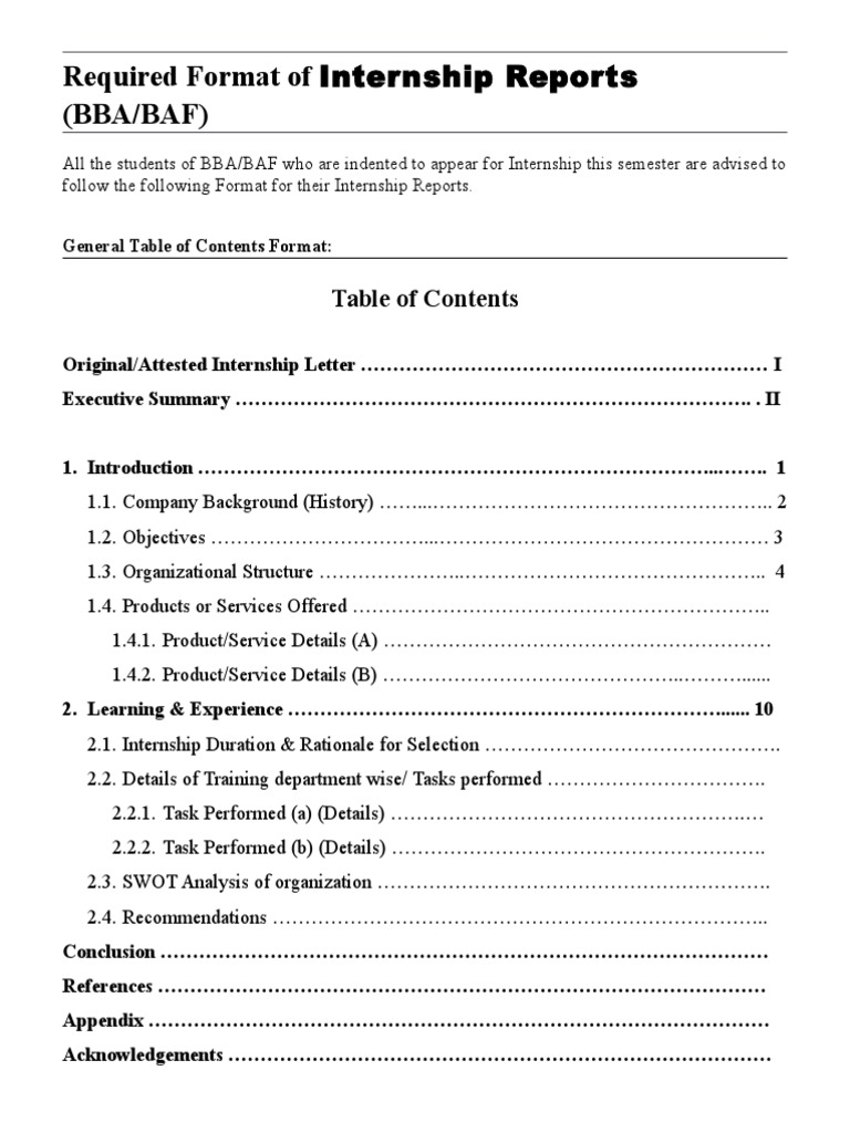 Internship Report Format Guidelines | PDF | Times New Roman | Typefaces