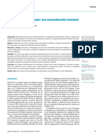 Área cerebral del lenguaje - Una reconsideración funcional 2016 (1).pdf