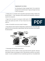 Perkembangan Mikrogametogenesis Pada Cycas Jantan