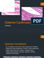 Sistema Cardiovascular