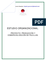 organizacional-pajillas.pdf
