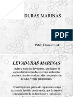 Levaduras Marinas Expo