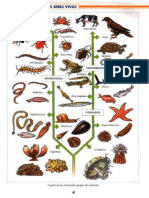 Atlas de Zoologia, Santillana.pdf