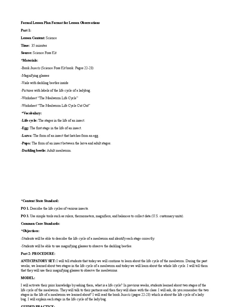 Lesson On The Mealworm Life Cycle PDF Education Theory Learning