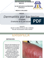 Dermatitis Por Bactrias