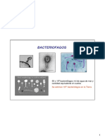 virus2.pdf