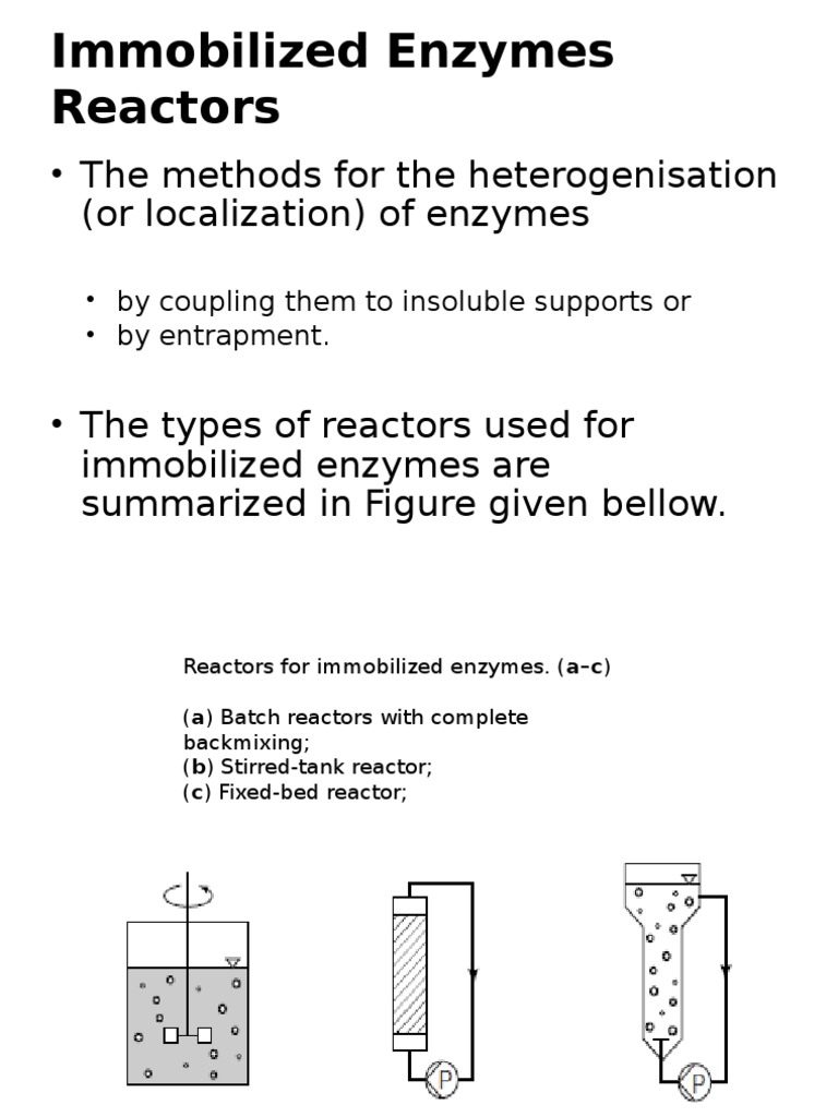 Immobilized Enzyme Reactor Designs | PDF | Chemical Reactor | Solubility
