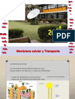 Membrana Celular y Transporte PDF