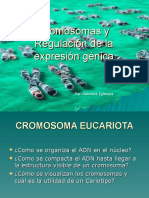 Cromosomas y Regulacion Curso La Pampa