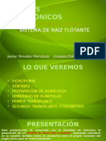 PRIMERA PARTE Cultivos hidropónicos.pptx