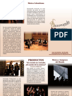 Brochure Saxonando