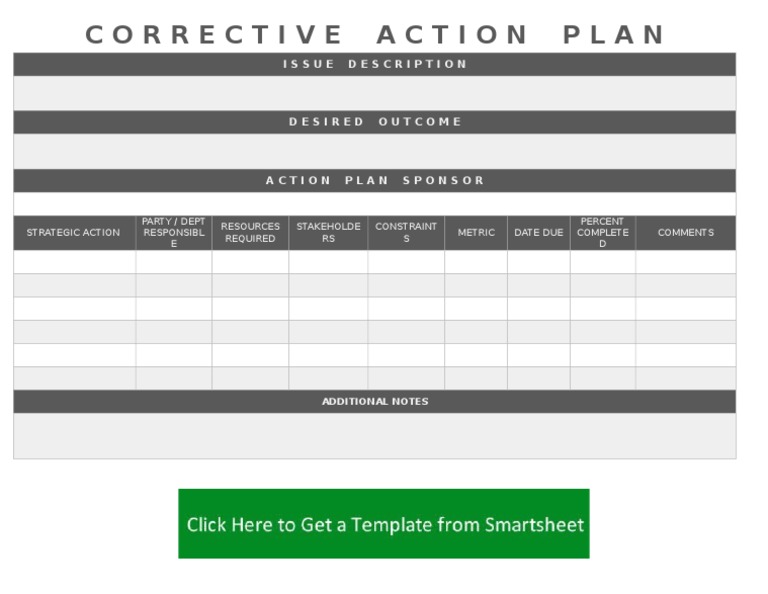 Corrective Action Plan Overview | PDF